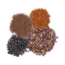 Cover Crop Seeds